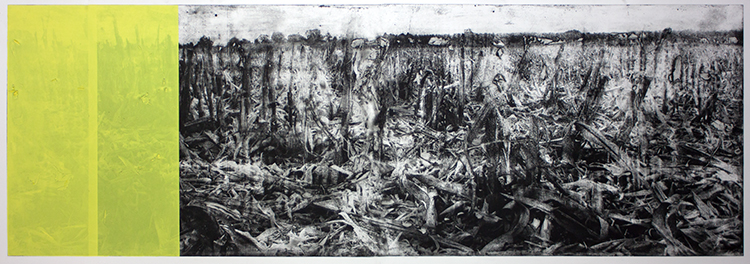 photo etchings