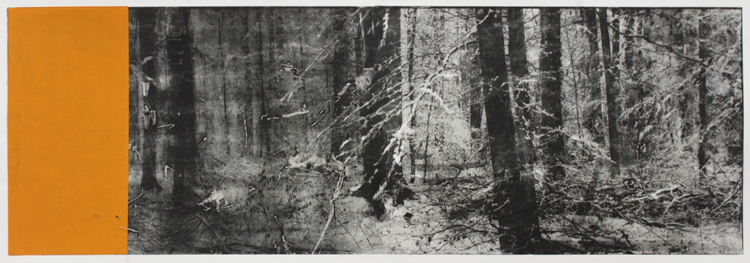 WinterWald, Foto-Aquatinta Radierung mit Prägung auf Bütten, 80cm x 220cm
